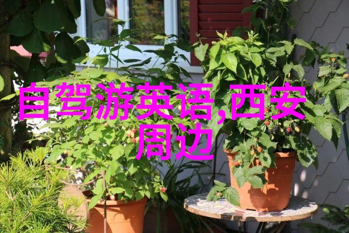 游记800字初三作文我的夏天从山村到海边的奇妙旅程