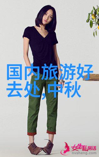 我们可以从其他国家引入一些创新性强但国内还未普及的大型过山车项目吗