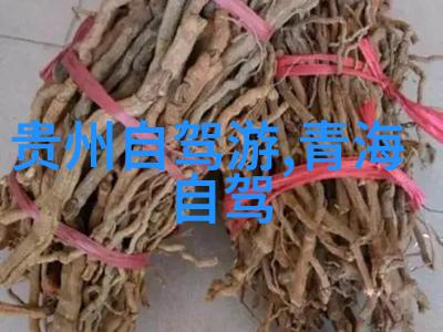 摩洛哥蓝城中东风情与摩尔式建筑艺术