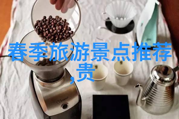 云中牧场阿坝的翠绿宝库初二学生800字游记之旅