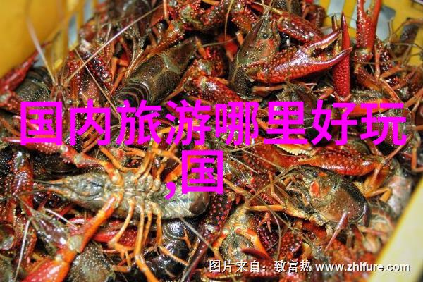 追寻少年的心路历程