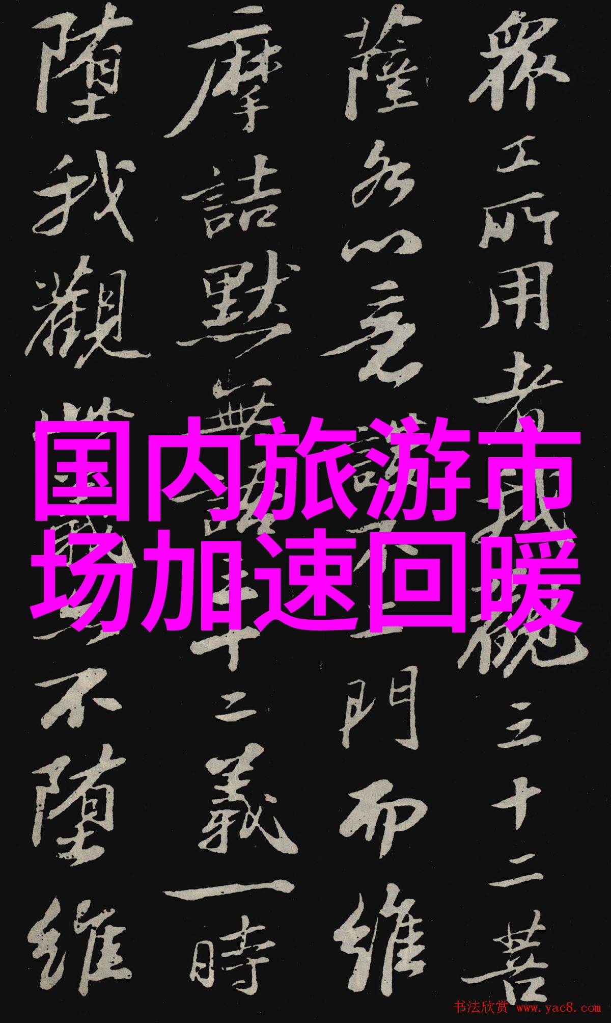 一人当道50个让你笑中有悟的趣味单身生活挑战