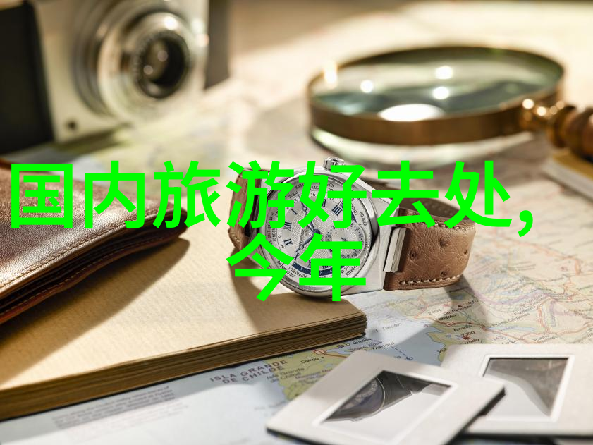 探秘最佳旅行伴侣哪个应用能让你的假期更加完美