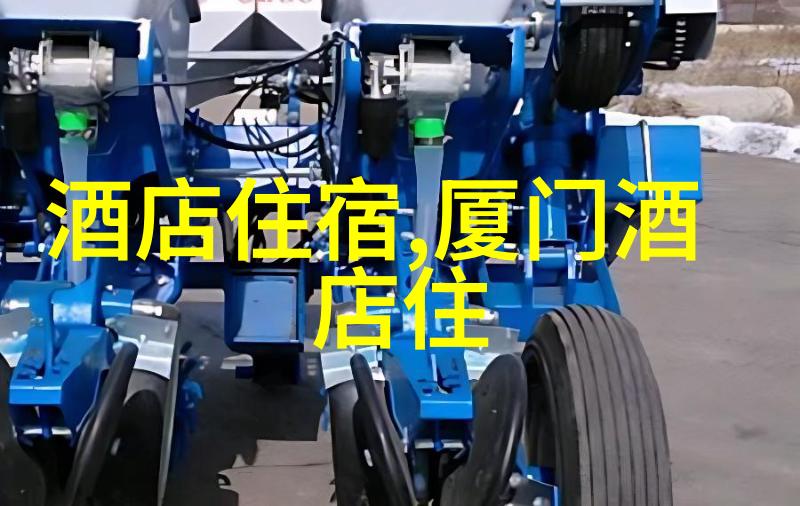 武术体验与教练对话在少林学打坐学太极拳