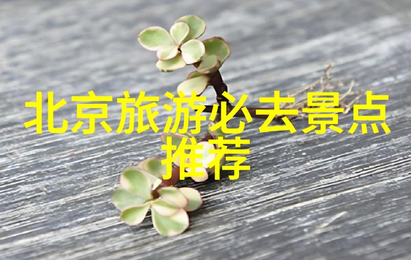 九寨沟旅行攻略揭秘天堂地狱的美丽之都