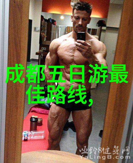 春节的团圆之美家族团聚与传统习俗的融合