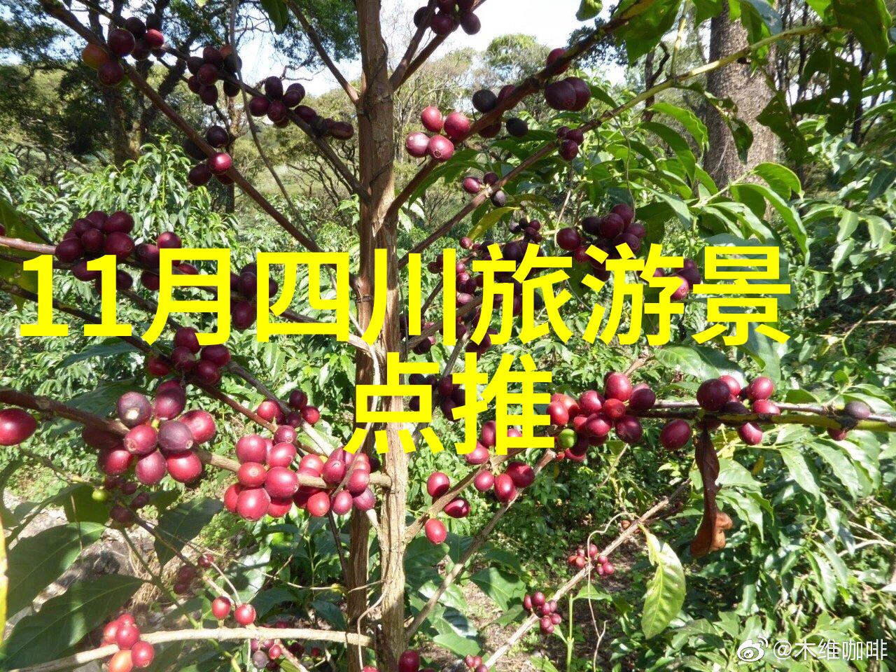 内蒙古六大草原排名风华逐鹿的草原之冠