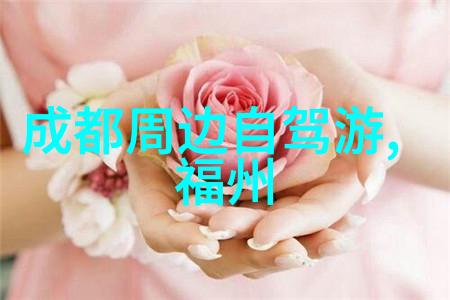 主题我儿子在公园的快乐飞翔