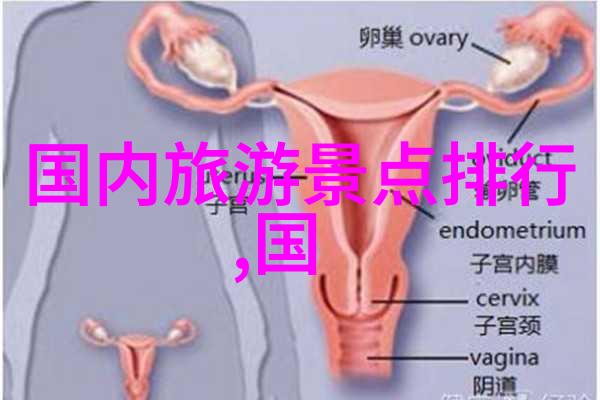保定有哪些酒店以其独特的主题设计而闻名