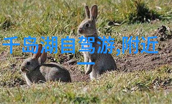 探索世界共享旅程领略旅游社交平台的魅力