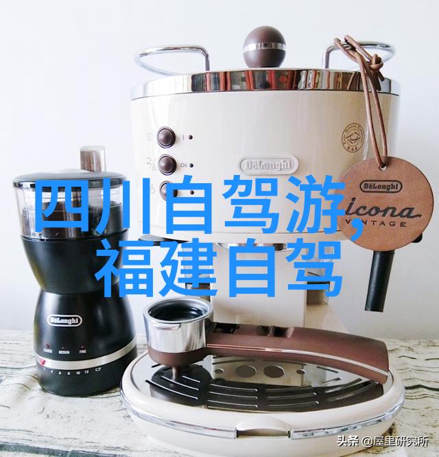 秋天落叶的声音与颜色