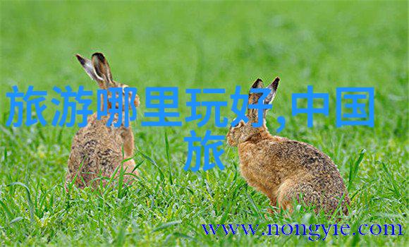 大转弯码头