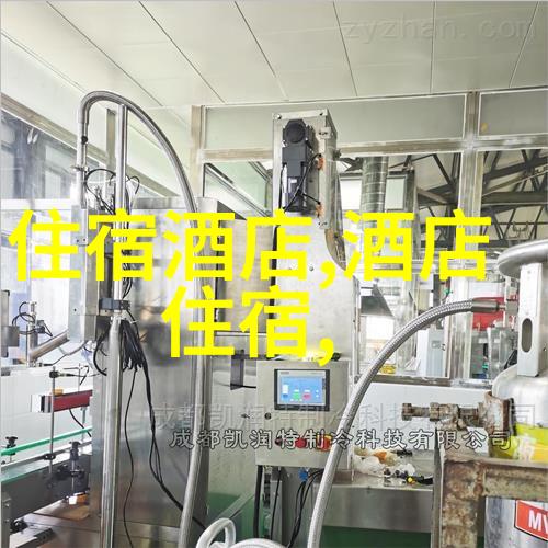 自驾游租车指南探索自由之旅的乐趣与智慧
