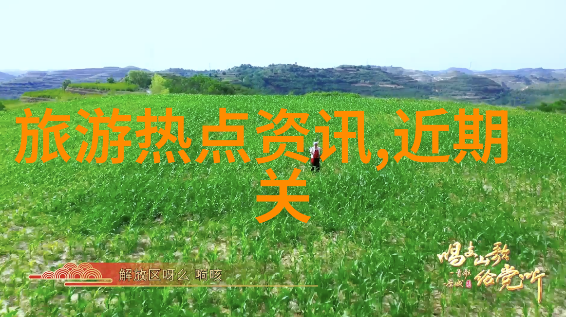夏日的探险初二游记之旅