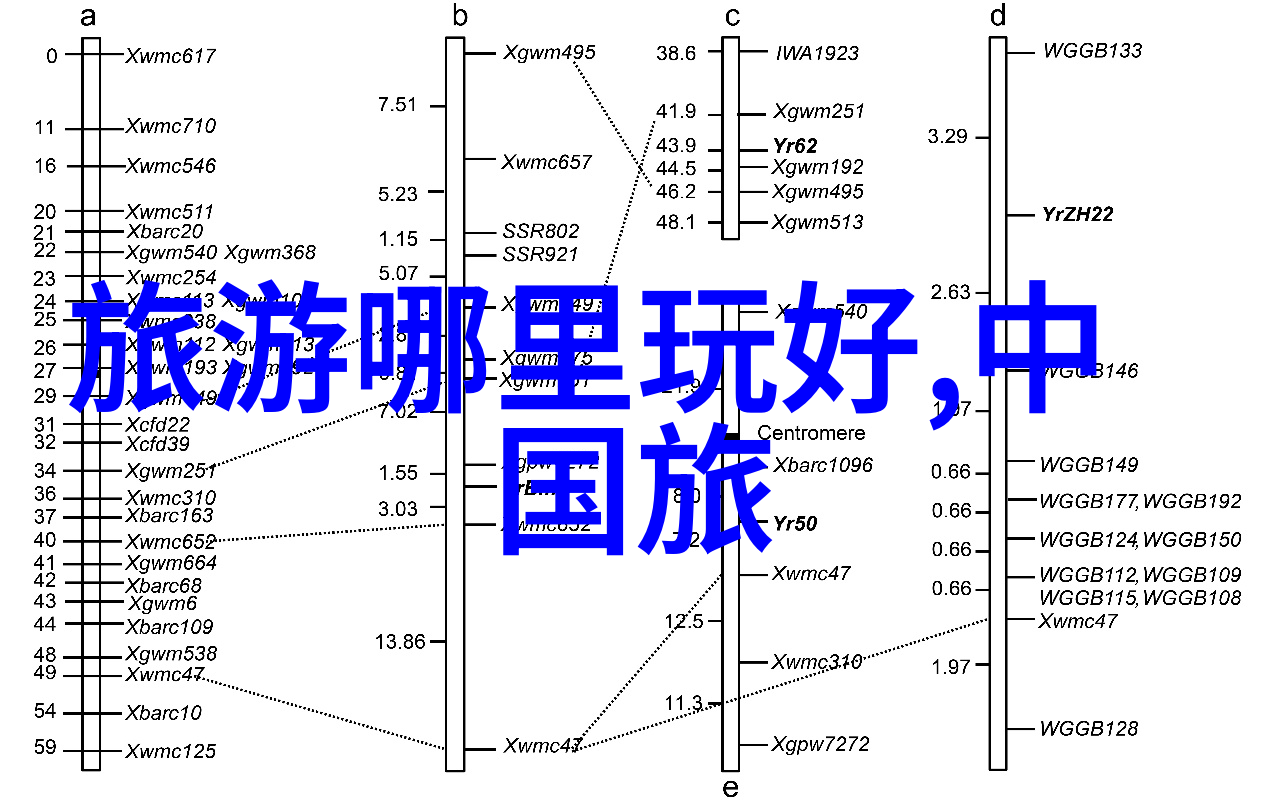 甘肃自驾游探秘发现甘肃的美丽自然风光