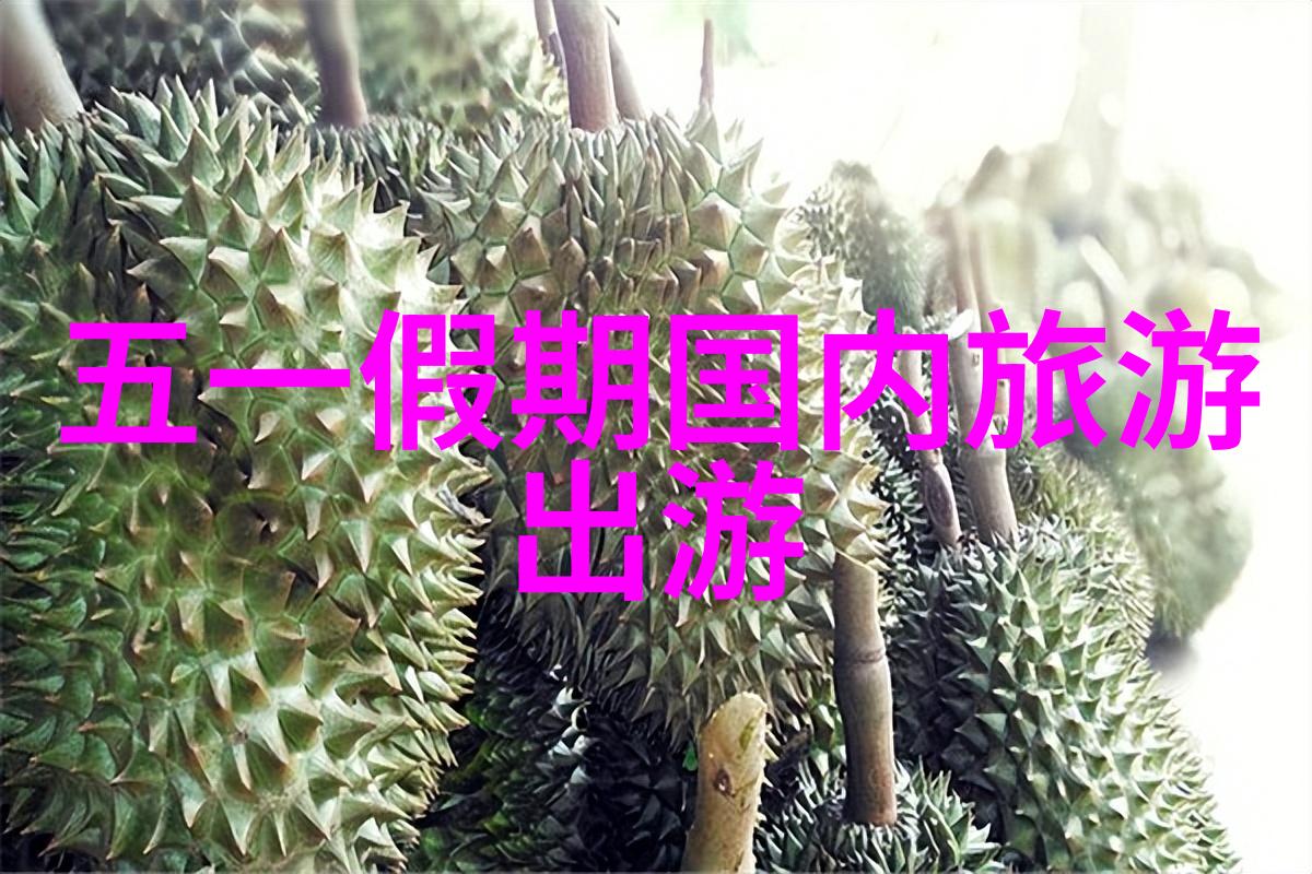 开启旅途的秘密驾驭自驾游之英伦篇章
