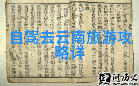 公司小型团建活动方案增强员工凝聚力与效率的策略性体验
