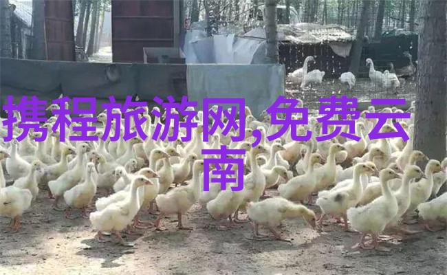 如同9名游客在坦桑尼亚的海龟肉中毒身亡的悲剧2021年的国际旅行也面临着不确定性的毒药现在出国是否安