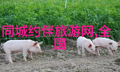 奥地利签证中心现在可以出国旅游吗查询地址及电话