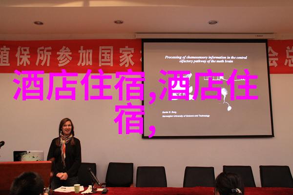 穿越时光发现古迹遗存在西双版纳的历史遗迹中寻找什么故事呢