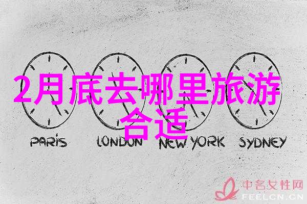 探索完美户外活动组织与流程的艺术