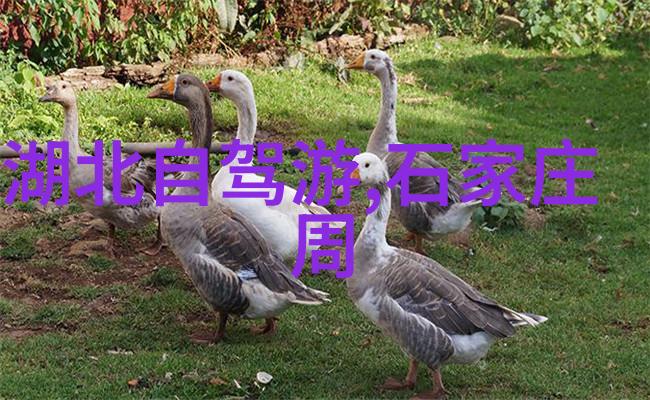 探索青岛美食之旅一路风味的自驾游记