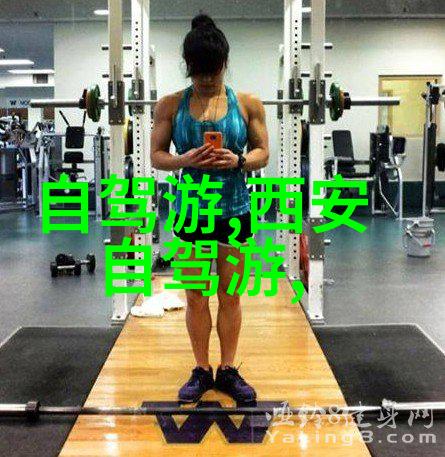 学步探索小学生游记之旅