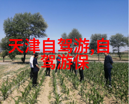从阳台到卧室边走一步我的日常小冒险