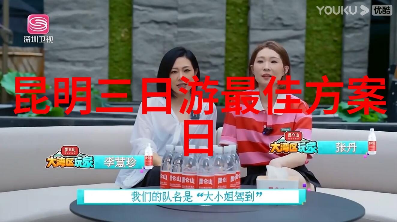 国际旅行复苏时机探讨中国的出境游何时重启