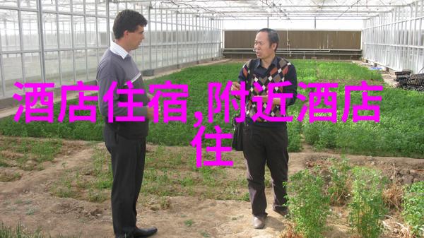 华山之巅的夜晚探索古色建筑中的温馨住宿体验