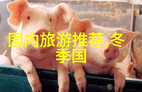 异性结伴旅游现象研究探索情感与旅行体验的交互作用