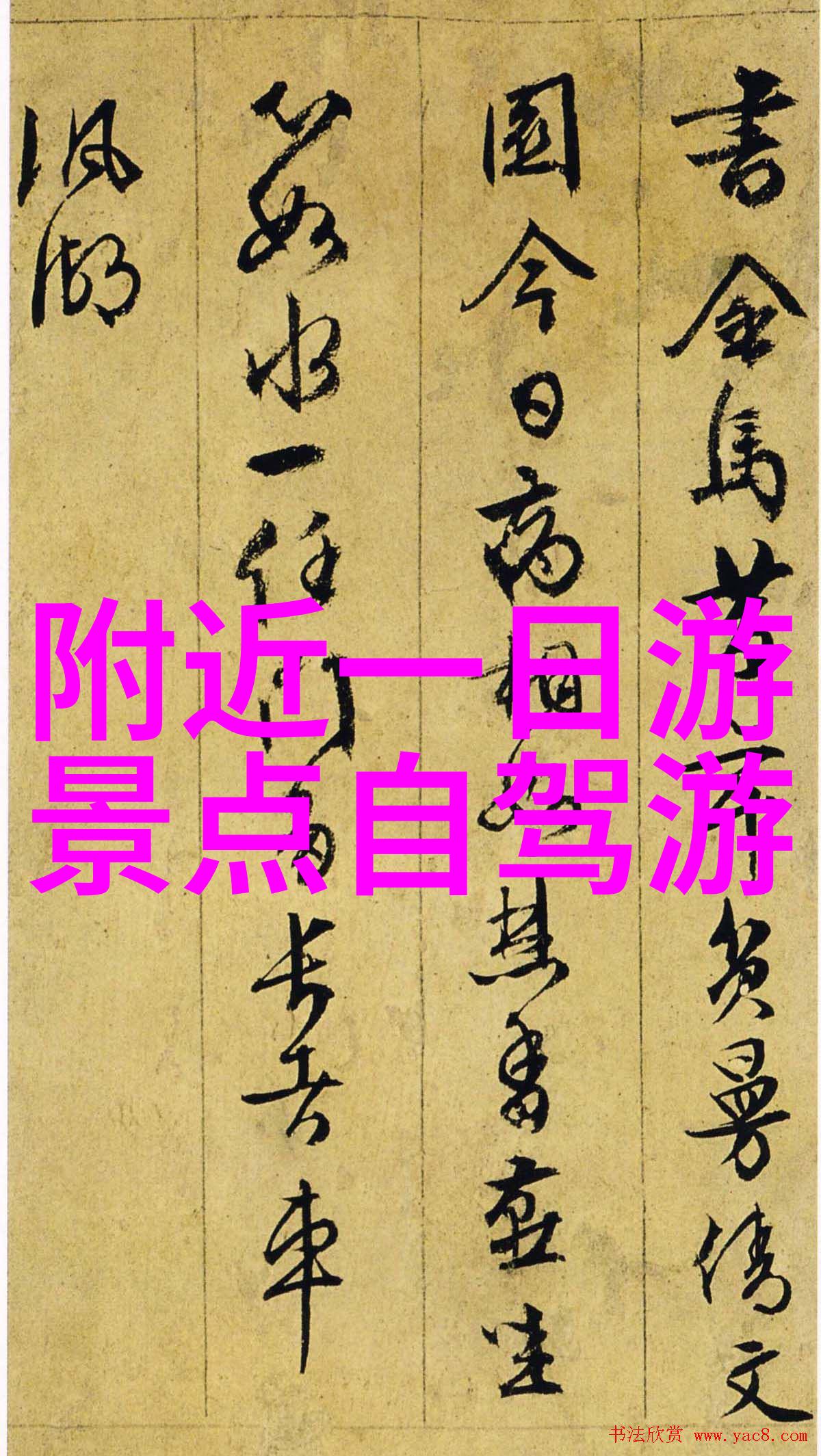 镜中情深映照着爱的真挚与坚持