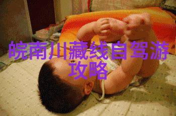 青海之美湖泊与雪峰的交响曲