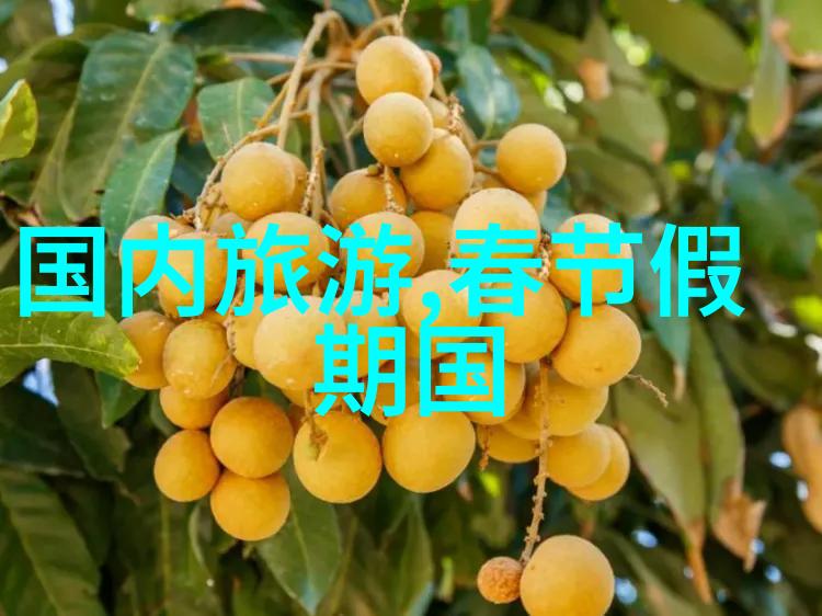 国外风景我在巴黎的那场意外之恋黄昏时分的塞纳河畔漫步