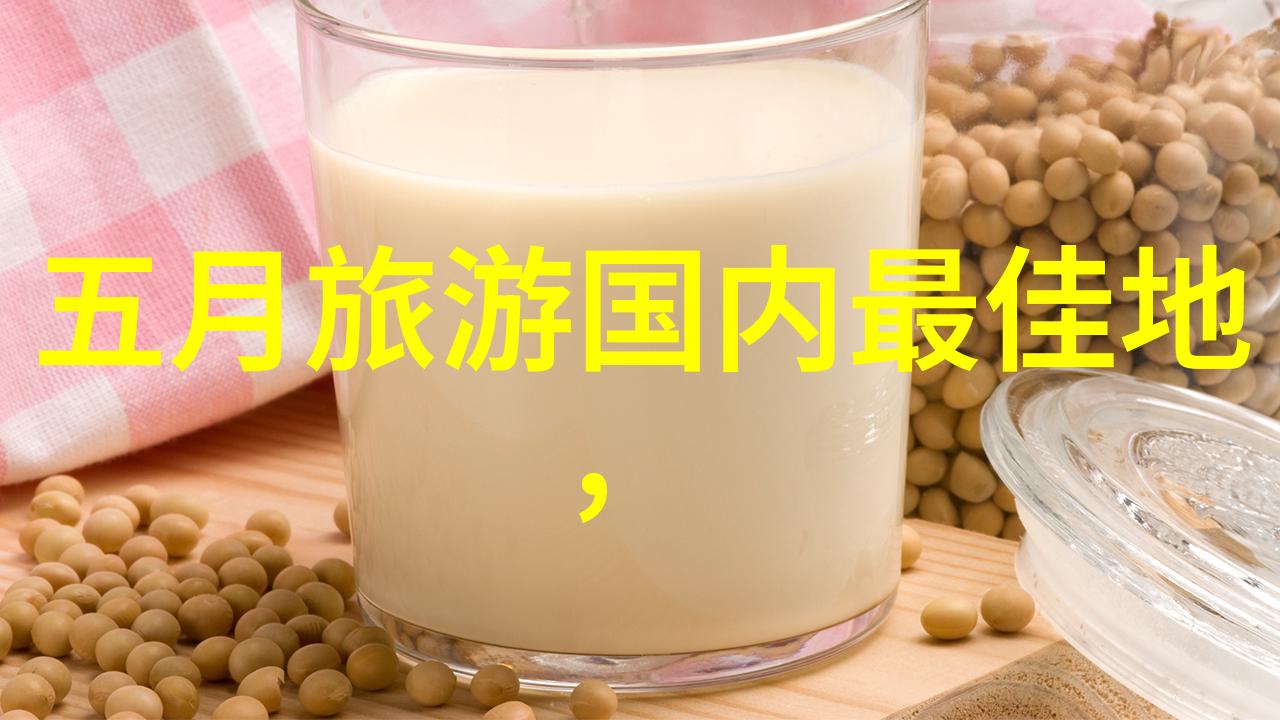 骑行必备装备全览从自行车到安全配件的选择指南