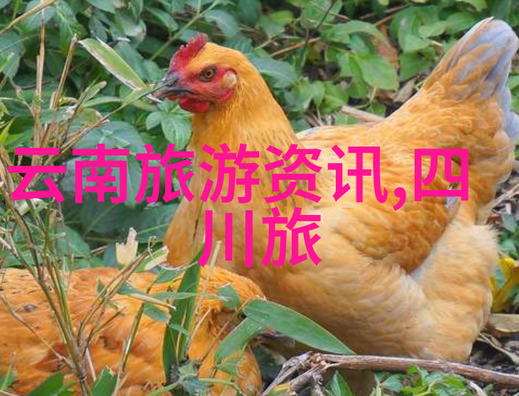 街头小吃的味道揭秘各类美食的制作技巧