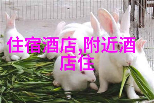 探索金陵古道上海周边自驾游的精彩之旅
