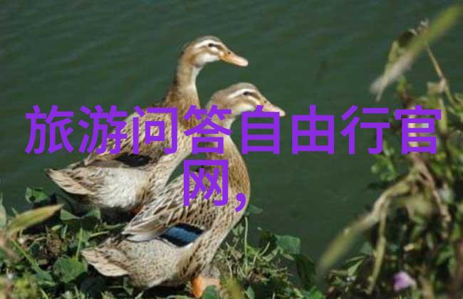 全国疫情地区查询最新动态国家卫生健康委员会实时数据更新