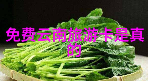 国内旅游景点介绍-探索中国奇迹从故宫到黄山的文化与自然之旅