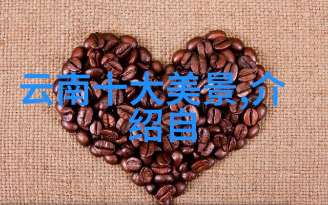 耳洞笙离-穿孔之旅耳洞装饰与文化背后的故事