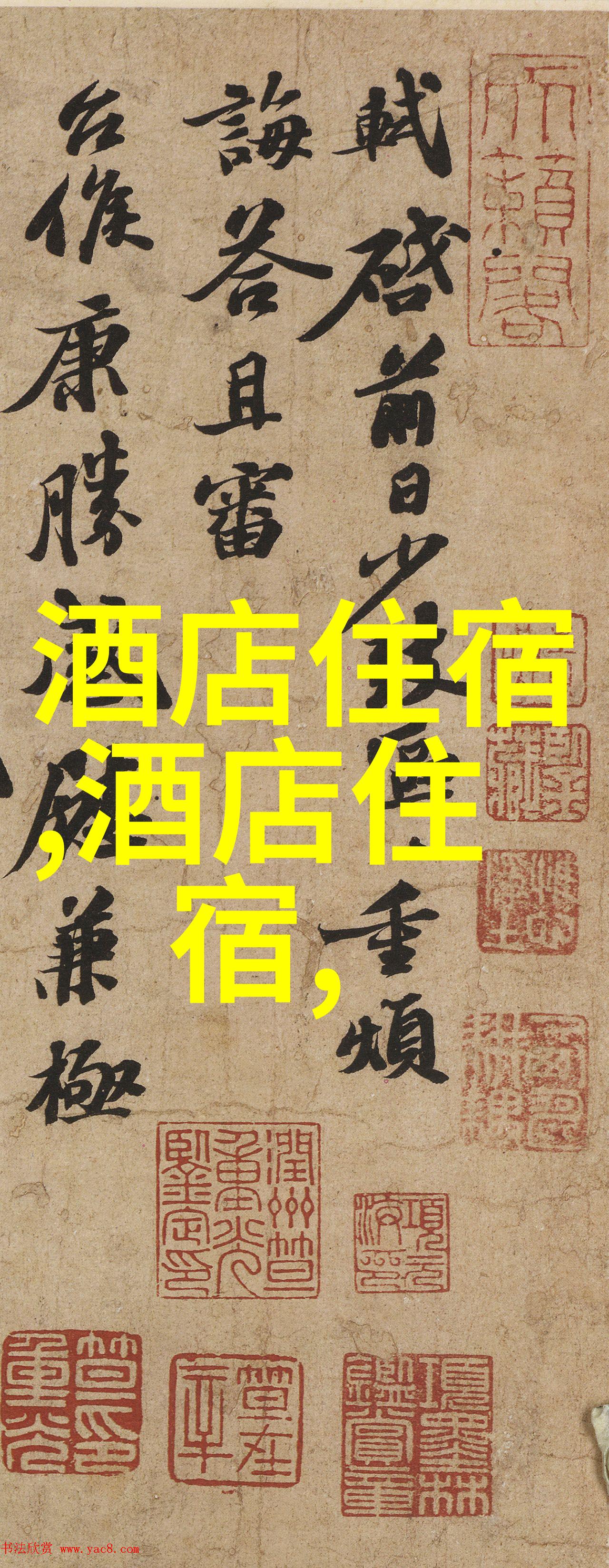 上海自驾游沿着黄浦江的秘密路径探索城市另一面