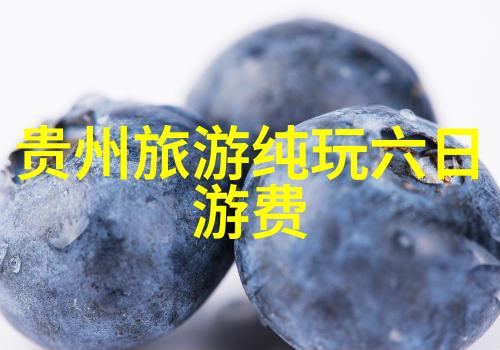 旅游问题有哪些旅行规划交通工具选择酒店预订景点游览文化差异适应安全防范措施