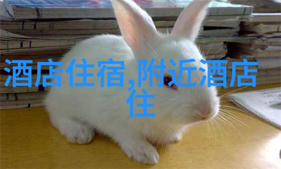 运动竞技-世界自行车锦标赛排名揭晓骑手们的速度与激情