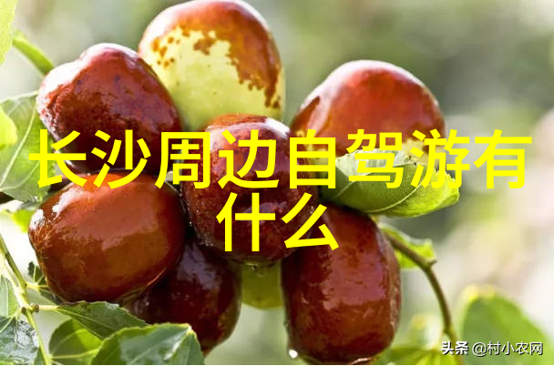 贵州黄果树瀑布-云雾缭绕的翠绿隧道探秘贵州黄果树瀑布的奇迹
