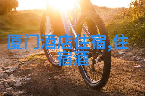 揭秘全国旅游监管平台的导游入口系统