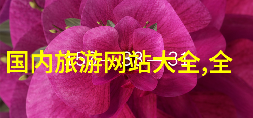 旅游景点作文600字我的探险之旅从古城墙到星空下的海滩