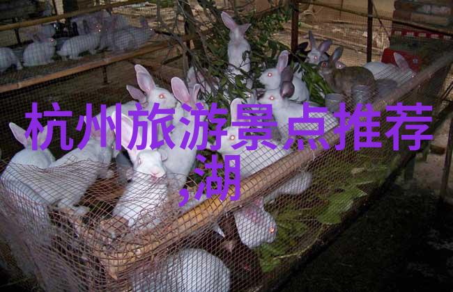 春色满园二三月国内旅行指南