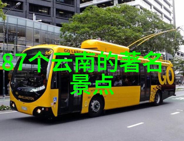 什麼是麗江的特殊節慶活動如何參與呢