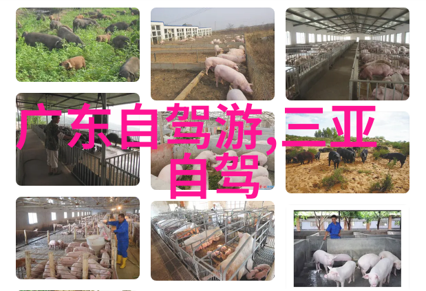 撩人的话都让她气愣心动但又不屑