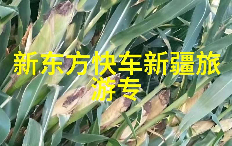 穿越时间隧道感受历史沧桑贵阳老街步行游记